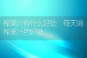 榨果汁有什么好处 每天喝榨果汁的好处