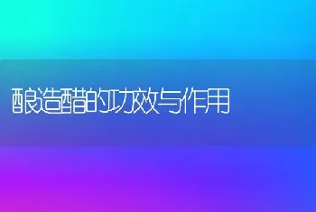 酿造醋的功效与作用