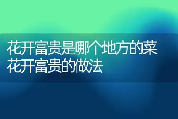 花开富贵是哪个地方的菜 花开富贵的做法