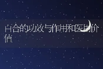 百合的功效与作用和医用价值