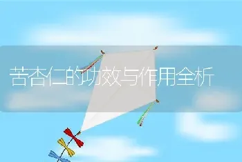 苦杏仁的功效与作用全析