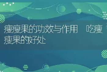 瘦瘦果的功效与作用 吃瘦瘦果的好处