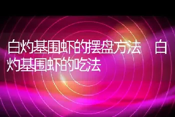 白灼基围虾的摆盘方法 白灼基围虾的吃法