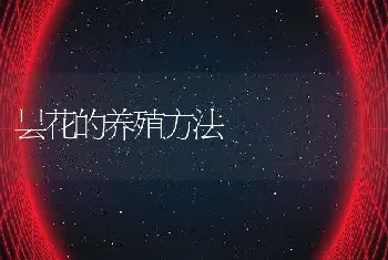 昙花的养殖方法