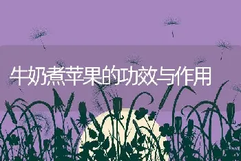 牛奶煮苹果的功效与作用