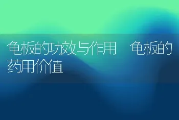 龟板的功效与作用 龟板的药用价值