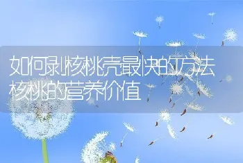 如何剥核桃壳最快的方法 核桃的营养价值