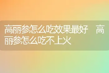 高丽参怎么吃效果最好 高丽参怎么吃不上火