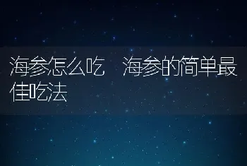 海参怎么吃 海参的简单最佳吃法