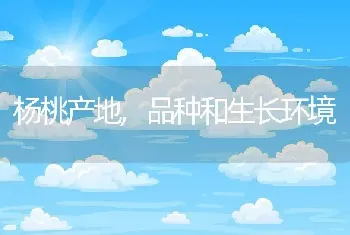 杨桃产地,品种和生长环境