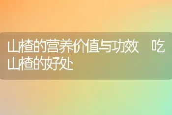 山楂的营养价值与功效 吃山楂的好处