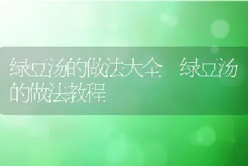 绿豆汤的做法大全 绿豆汤的做法教程