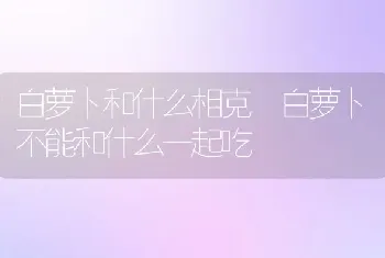 白萝卜和什么相克 白萝卜不能和什么一起吃