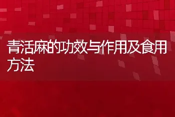 青活麻的功效与作用及食用方法