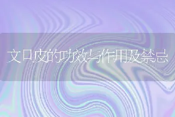 文旦皮的功效与作用及禁忌