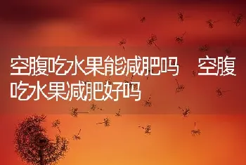 空腹吃水果能减肥吗 空腹吃水果减肥好吗