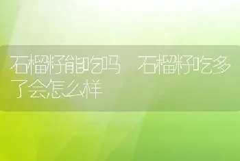 石榴籽能吃吗 石榴籽吃多了会怎么样