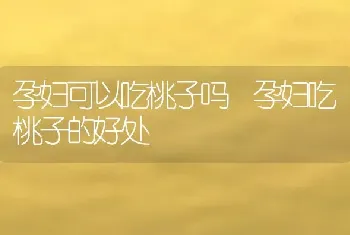 孕妇可以吃桃子吗 孕妇吃桃子的好处