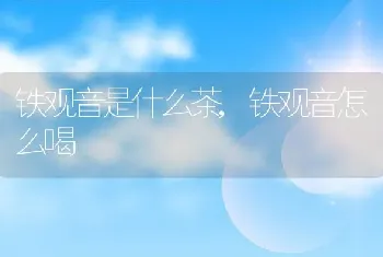 铁观音是什么茶,铁观音怎么喝