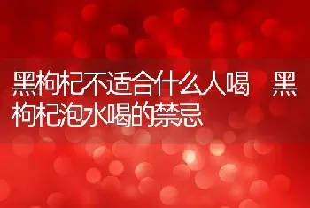 黑枸杞不适合什么人喝 黑枸杞泡水喝的禁忌