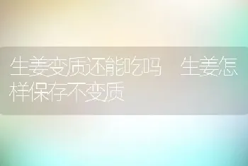 生姜变质还能吃吗 生姜怎样保存不变质