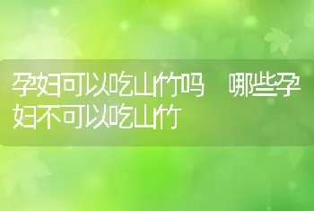 孕妇可以吃山竹吗 哪些孕妇不可以吃山竹