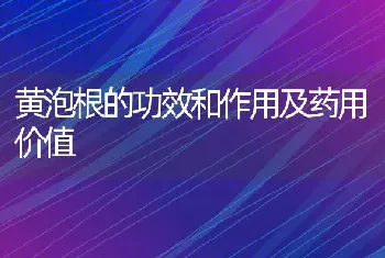 黄泡根的功效和作用及药用价值