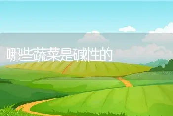 哪些蔬菜是碱性的