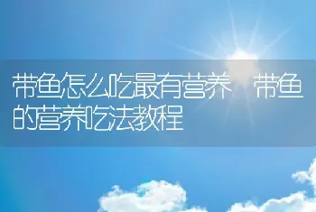 带鱼怎么吃最有营养 带鱼的营养吃法教程