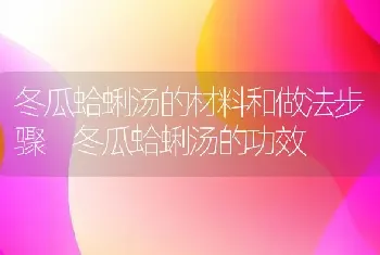 冬瓜蛤蜊汤的材料和做法步骤 冬瓜蛤蜊汤的功效