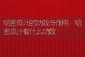 哈密瓜汁的功效与作用 哈密瓜汁有什么功效