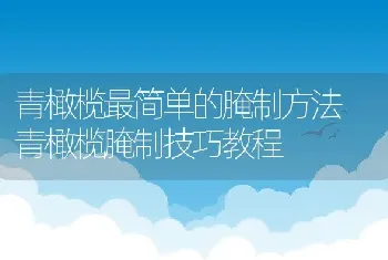 青橄榄最简单的腌制方法 青橄榄腌制技巧教程