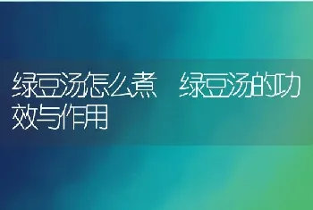 绿豆汤怎么煮 绿豆汤的功效与作用