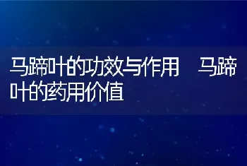 马蹄叶的功效与作用 马蹄叶的药用价值