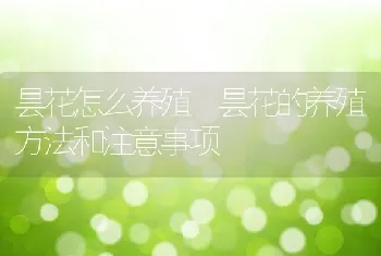 昙花怎么养殖 昙花的养殖方法和注意事项