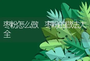 枣粉怎么做 枣粉的做法大全