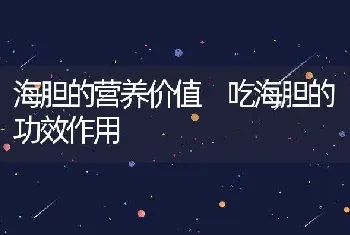 海胆的营养价值 吃海胆的功效作用