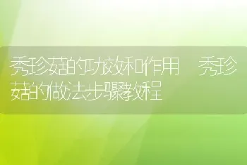 秀珍菇的功效和作用 秀珍菇的做法步骤教程