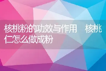 核桃粉的功效与作用 核桃仁怎么做成粉