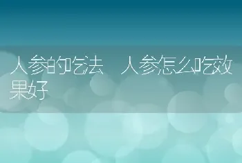 人参的吃法 人参怎么吃效果好