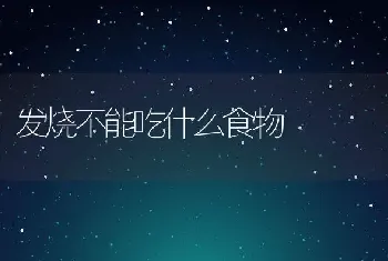 发烧不能吃什么食物