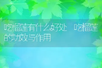 吃榴莲有什么好处 吃榴莲的功效与作用