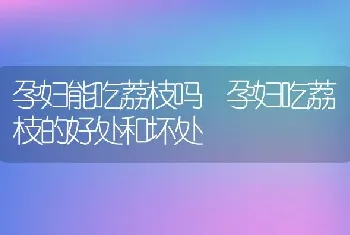 孕妇能吃荔枝吗 孕妇吃荔枝的好处和坏处