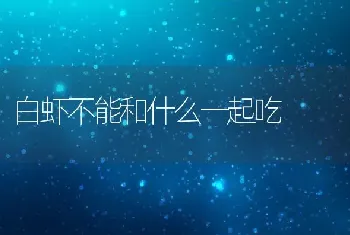 白虾不能和什么一起吃