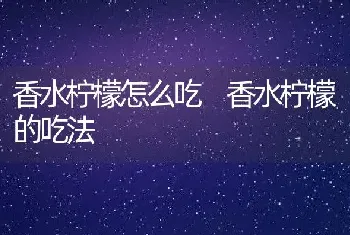 香水柠檬怎么吃 香水柠檬的吃法