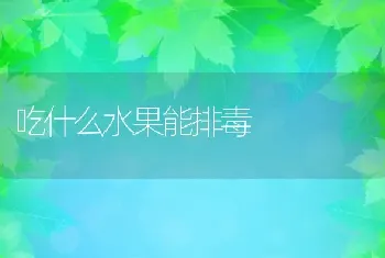 吃什么水果能排毒