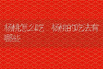 杨桃怎么吃 杨桃的吃法有哪些