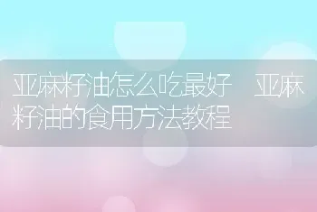 亚麻籽油怎么吃最好 亚麻籽油的食用方法教程