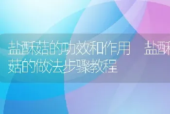 盐酥菇的功效和作用 盐酥菇的做法步骤教程