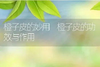 橙子皮的妙用 橙子皮的功效与作用